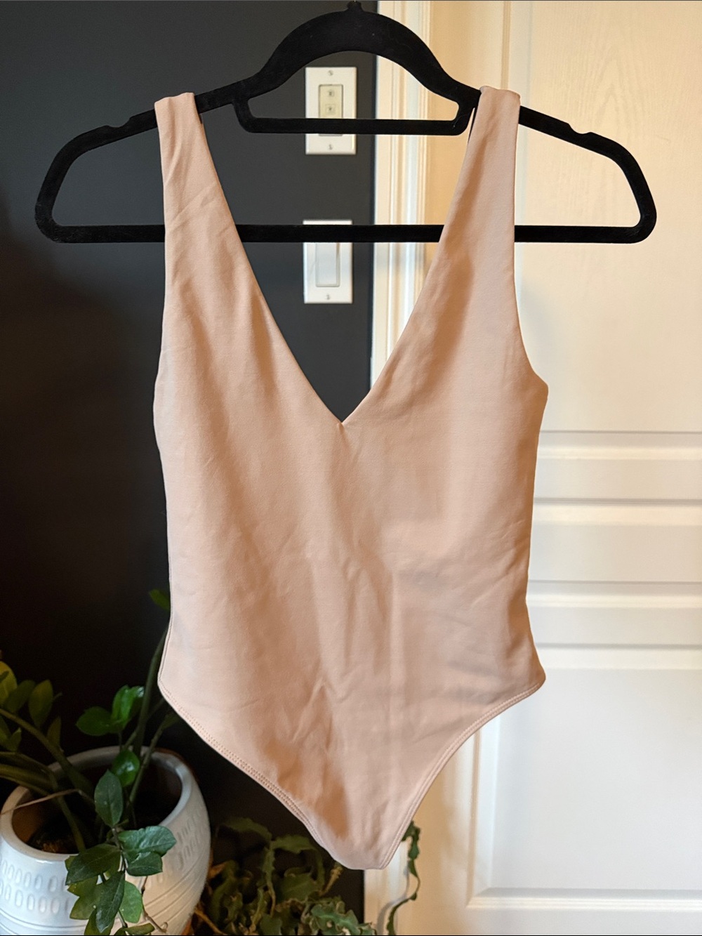 Babaton Taupe V-Neck Bodysuit
